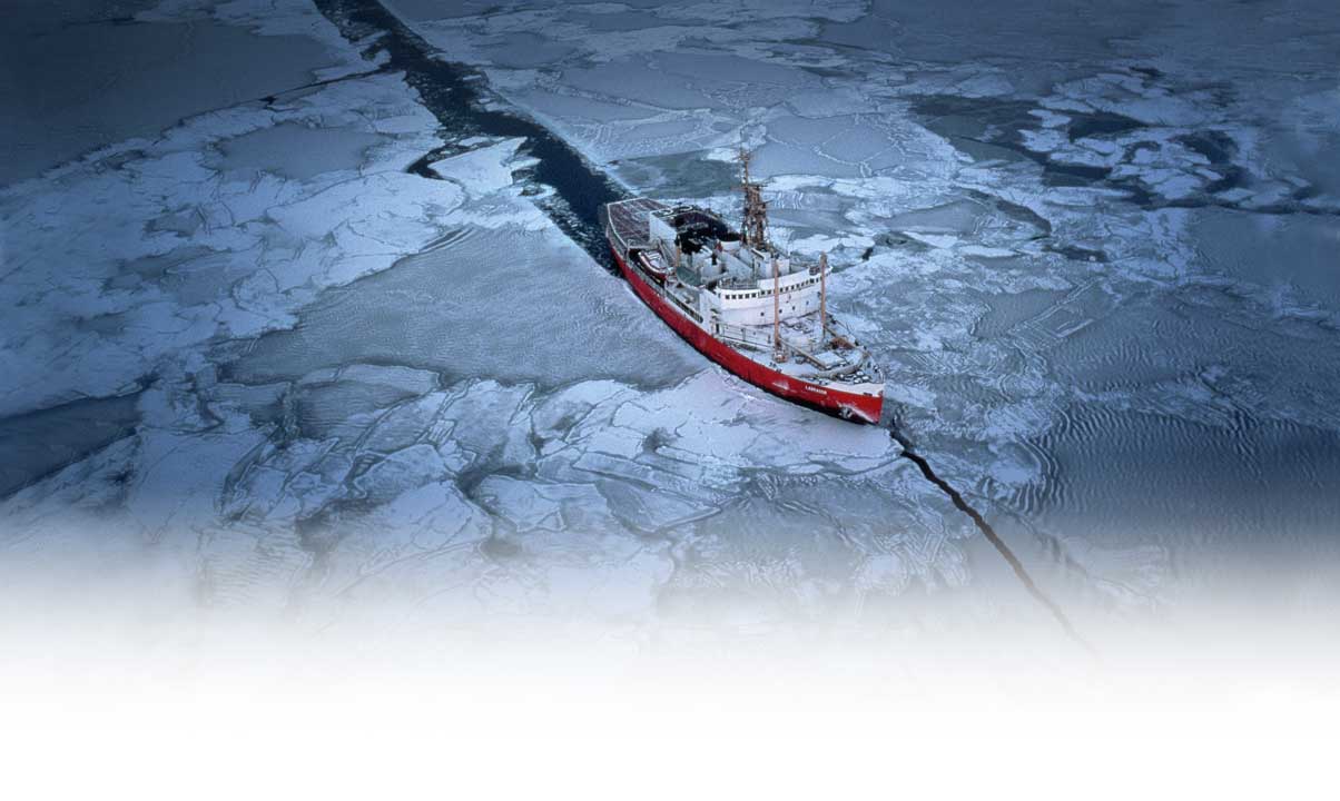 Hoy todas las empresas navegan en <br /><strong>la Economía de la Reputación</strong>